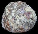 Crystal Filled Dugway Geode (Polished Half) #67511-1